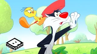 The Looney Tunes Show  Be Polite  Boomerang [upl. by Nylcsoj]