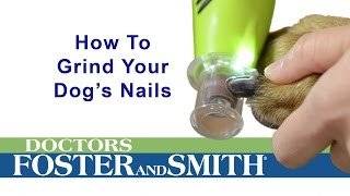 How to Grind Your Dogs Nails DrsFosterSmith [upl. by Htebazil54]