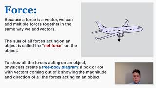 Forces amp Free Body Diagrams  IB Physics [upl. by Refinaj]