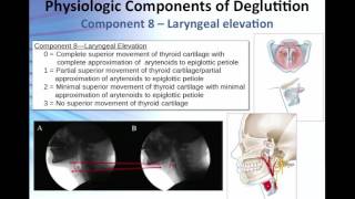 Overview of the 17 Physiologic Components of Swallow Function [upl. by Nevetse645]