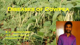 Diseases of Cowpea  Pulses  Plant Pathology  Exam Oriented  NET 2021 [upl. by Anniroc984]