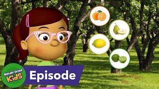 Where Do Fruits and Vegetables Come From S4 E2 [upl. by Yeldua]