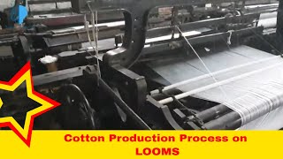 Cotton Fabric Manufacturing Process  Warp and Weft  Cotton Production  Looms Weaving Process [upl. by Haley]