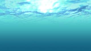 Efecto Bajo el Mar  Piscina  Agua en movimiento  FullHD  FREE [upl. by Chrisman220]