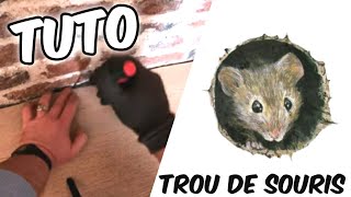 Trou de souris  comment et avec quoi le boucher [upl. by Moyers]