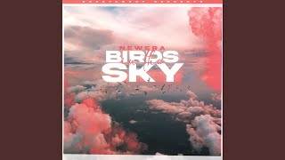 Birds In The Sky [upl. by Gillie]