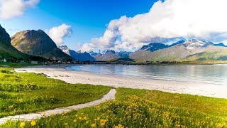 Uplifting Music  light positive happy music Gullrosøya  1 hour [upl. by Scottie]