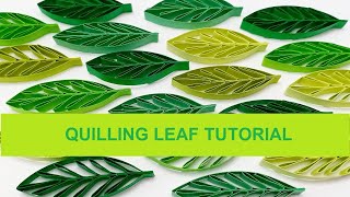 Quilling leaf tutorial [upl. by Ballard]