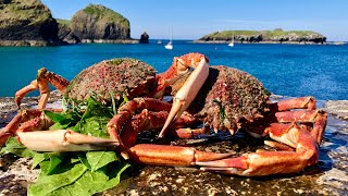 Coastal ForagingExploring  Diving for Crab amp Lobster with Beach Cook up Cornwall  The Fish Locker [upl. by Learsiy561]