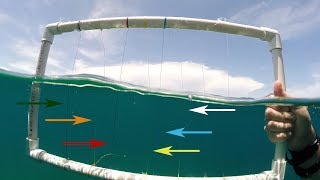 Underwater Visibility Test of Braided Fishing Lines [upl. by Wilhelmine]