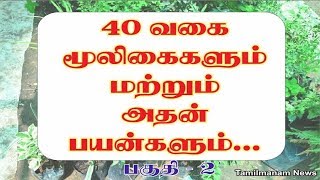 Herbs and their uses in tamil  40 herbal plants and their uses Part 2 [upl. by Reginald14]