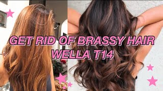 GETTING RID OF ORANGE BRASSY HAIR W WELLA T14  Brunette Hair [upl. by Junie]