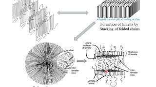 Polymer Crystallization [upl. by Liddie]