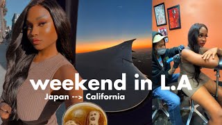 FUN WEEKEND IN LA ✨ JAPAN TO CALIFORNIA Vlog [upl. by Wehttam]