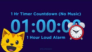 1 Hour Timer Countdown No Music  1 Hour Loud Alarm [upl. by Cathleen]