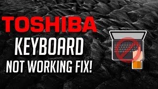 Fix Toshiba Keyboard Not Working Windows 1087  3 Solutions 2025 [upl. by Cartie]