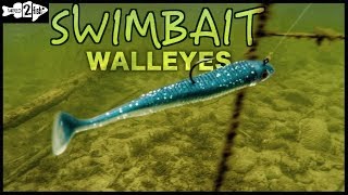 2 Ways to Target Walleyes With Paddle Tail Swimbaits [upl. by Katerina235]