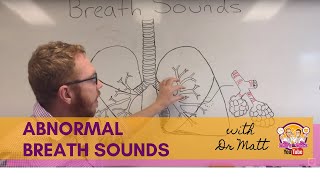 Abnormal Breath Sounds  Respiratory System [upl. by Elocon]