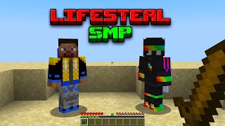 The Lifesteal SMP Experience [upl. by Bolme]