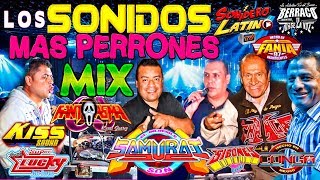 LOS SONIDOS MAS PERRONES MIX  SAMURAI  SIBONEY  CONGA LA CHANGA  FANIA 97  KISS  FANTASMA [upl. by Kehr52]