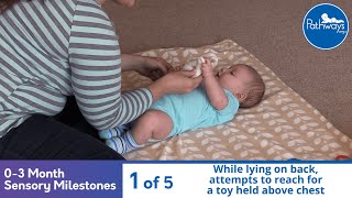 03 Month Old Sensory Milestones [upl. by Celinda]