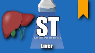 Liver Ultrasound Protocol [upl. by Whitford]