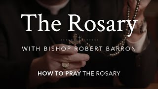 How to Pray the Rosary with Bishop Barron [upl. by Nonnek]