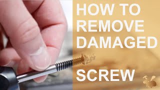 How to Use a Screw Extractor  The proper way [upl. by Akerdnuhs135]