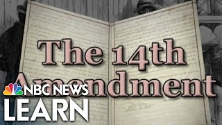 The Fourteenth Amendment [upl. by Madox686]