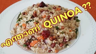 What is Quinoa  Benefits of Quinoa  Quinoa Uppma  Intermittent Fasting  Weight Loss Recipe [upl. by Tabshey]