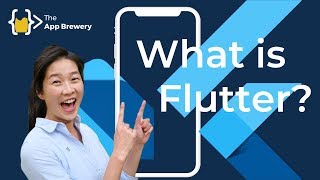 What is Flutter [upl. by Sofer]