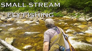 Fly Fishing Small Streams [upl. by Niahs568]