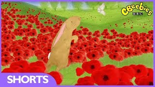 CBeebies Poppies  Behind The Scenes [upl. by Nerra]