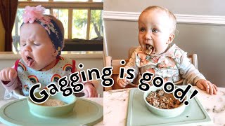 10 Babies Gagging on Food Why it’s a GOOD Thing [upl. by Snashall]