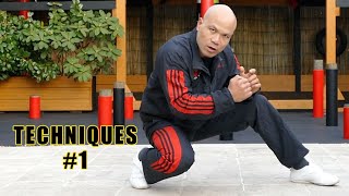 Basic Footwork  wing chun techniques 1 [upl. by Finegan796]