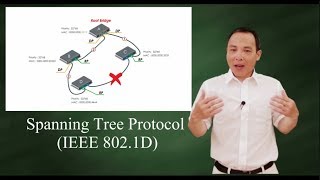 Spanning Tree Protocol IEEE 802 1D [upl. by Irol]