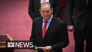 Entire parliament condemns Fraser Annings controversial maiden speech  ABC News [upl. by Rehpotisrhc760]