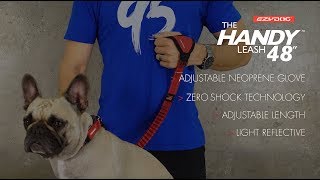 How to use a HandsFree Dog Leash  EzyDog Handy Leash 48quot [upl. by Dachia]