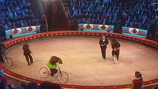 Russian Bear riding bicycle in Moscow circus [upl. by Zetneuq695]