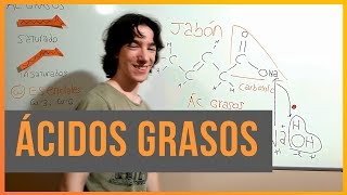 Ácidos Grasos [upl. by Llahsram]