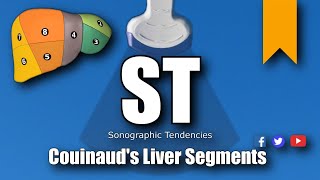 Ultrasound Couinauds Liver Segments [upl. by Roe535]