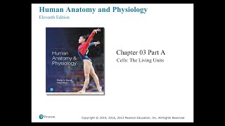 Anatomy and Physiology Chapter 3 Cells Part A [upl. by Amabelle822]