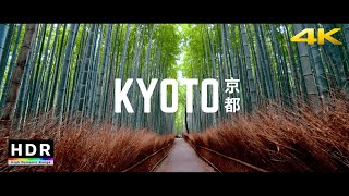 Kyoto Japan  219 Ultrawide 4K HDR  Arashiyama Bamboo Forest  Cinematic Short [upl. by Anahsor]