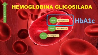 Hemoglobina Glicosilada HbA1c [upl. by Justinian]