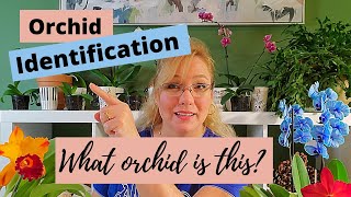 Orchid Identification The 5 Most Common Orchids for Beginners [upl. by Yelmene676]