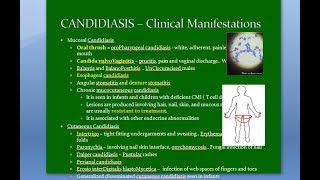 Microbiology 585 b Candida Candidiasis fungus fungi mycosis vulvoVaginitis intertrigo ID reaction [upl. by Otreblide]