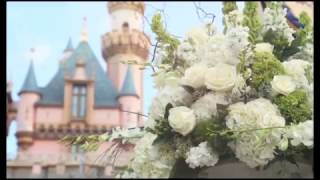 Morning Castle Wedding  Disneyland [upl. by Apfel]