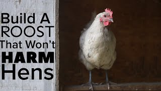 How To Build A Chicken Roost That Won’t Harm Your Chickens [upl. by Akiwak160]