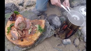 A great day foraging and wild cooking on a Pembrokeshire beach [upl. by Anyrtak212]