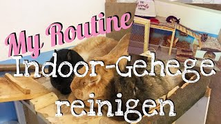 Reinigung meines Indoor Kaninchengeheges  My Routine [upl. by Kcirtemed582]